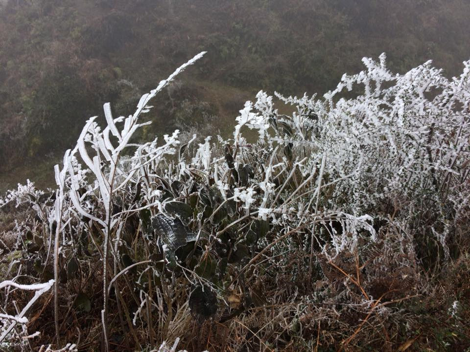 Mèo Vạc chìm trong băng giá, rét dưới -3 độ C